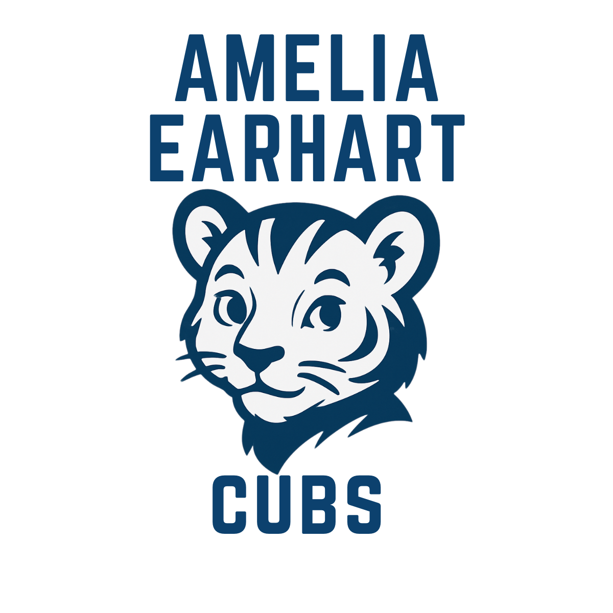 Amelia Earhart Design 2