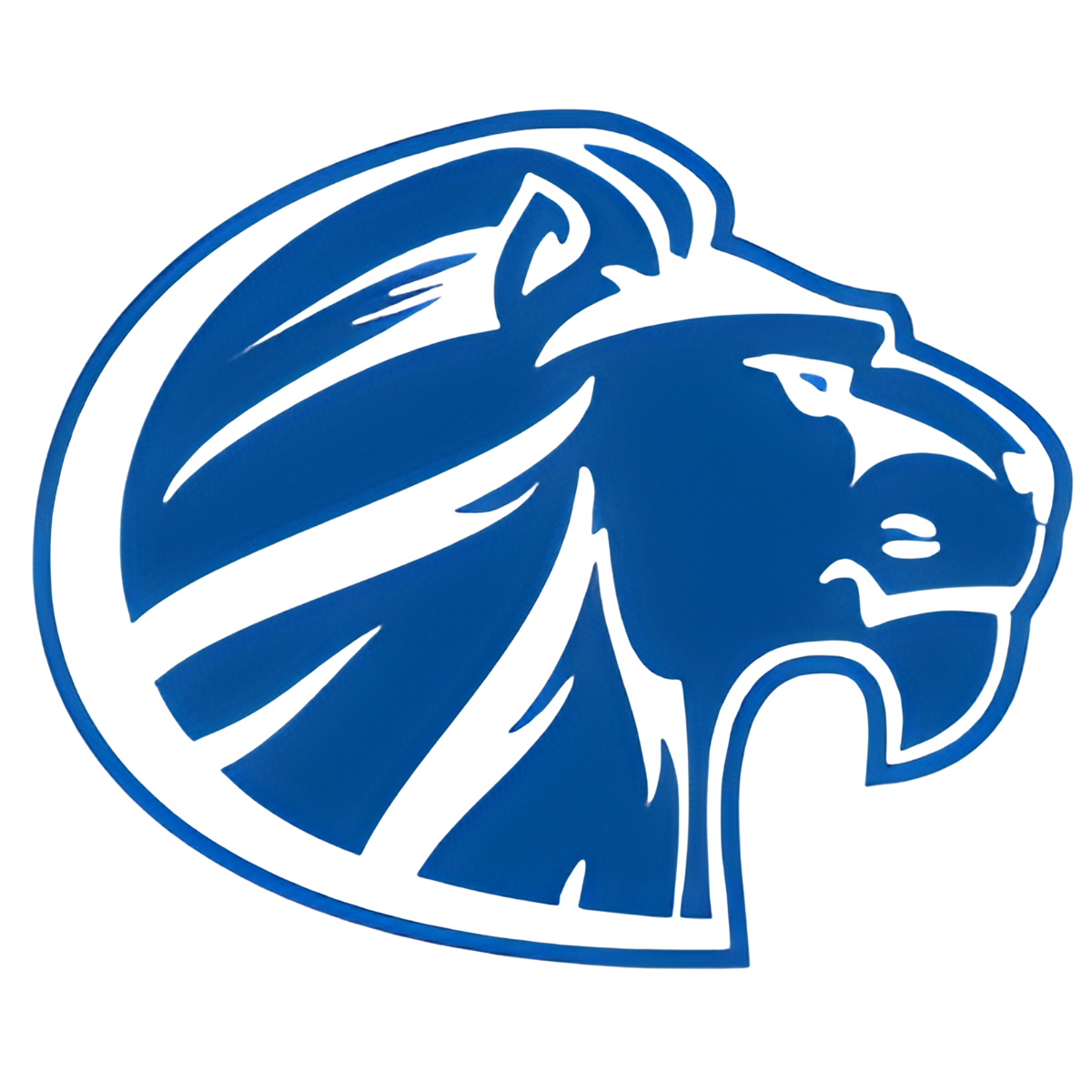 Goddard Lions